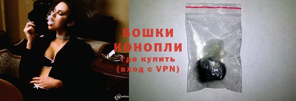 гидра Лагань