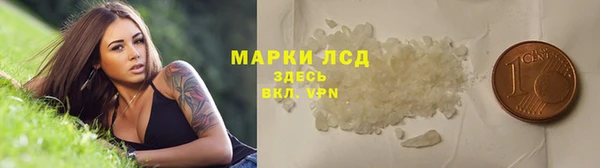 твердый Ладушкин