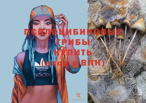 дурь Куйбышев