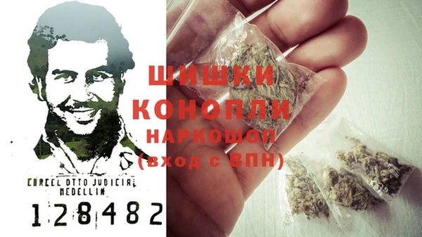 гидра Лагань