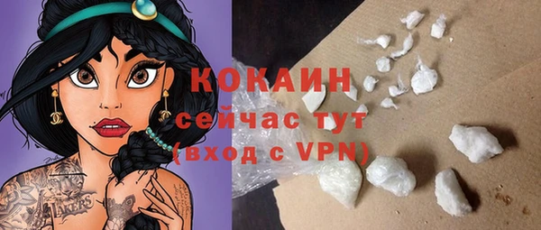 гидра Лагань