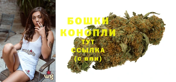 твердый Ладушкин