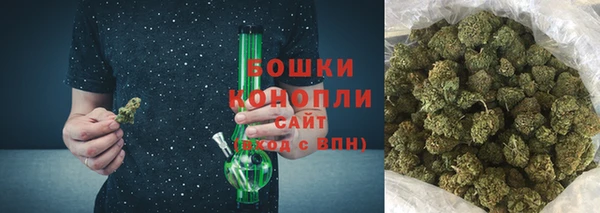 твердый Ладушкин