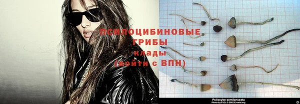 твердый Ладушкин