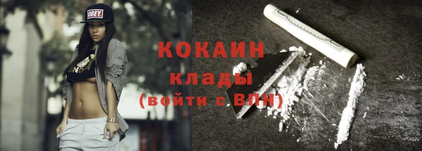 гидра Лагань